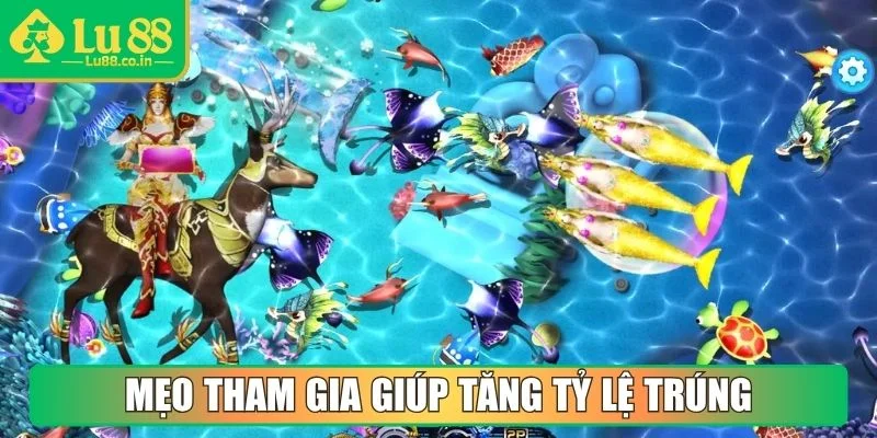 Mẹo tham gia giúp tăng tỷ lệ trúng