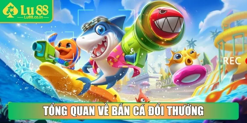 Tổng quan về hình thức